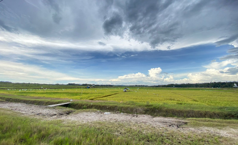 Minim Regenerasi Petani, Tenggarong Seberang Galakkan Program Petani Muda