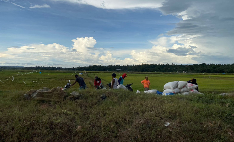Optimalkan Potensi Pertanian dan Perkebunan, Sebulu Tingkatkan Kesejahteraan Masyarakat