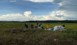 Optimalkan Potensi Pertanian dan Perkebunan, Sebulu Tingkatkan Kesejahteraan Masyarakat