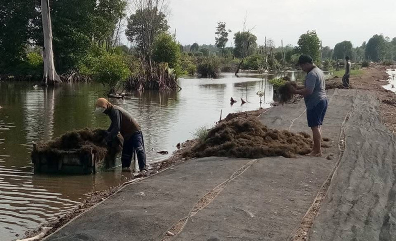 Pabrik Rumput Laut Muara Badak 2025: Harapan Baru untuk Ekonomi Pesisir Kukar