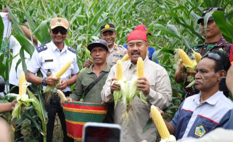 Panen Jagung dan Ikan di Maluhu, Bupati Kukar Dorong Perubahan Pola Tanam Petani