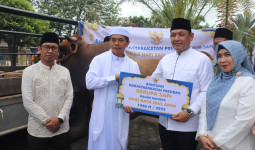 Sapi Kurban Presiden Prabowo untuk Kaltim Diserahkan ke Masjid Ar Rasyidin Samarinda