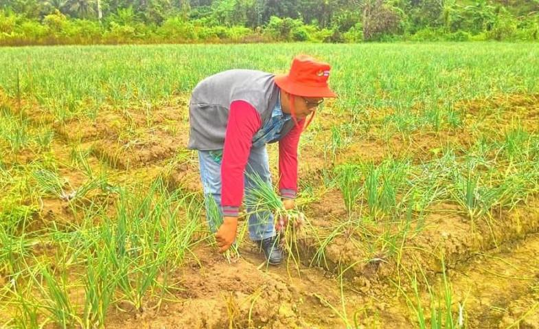 Sinergi Distanak Kukar dan Kementan Dorong Pengembangan 5 Kawasan Pertanian Luas 8.000 Hektare