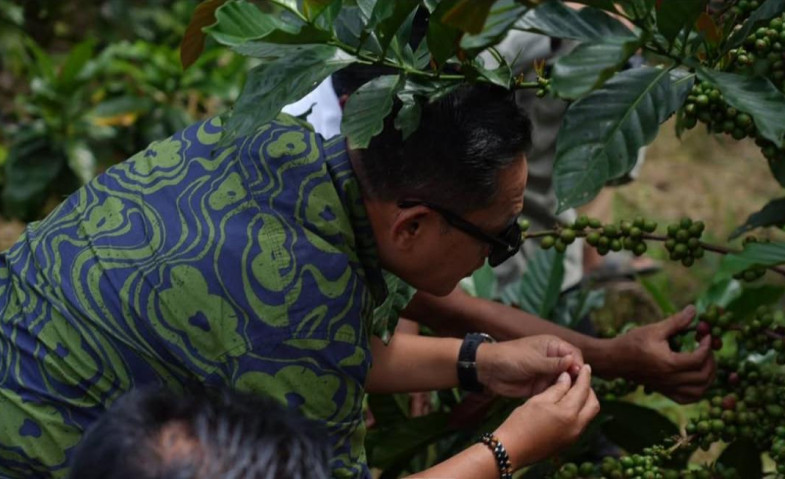 Wakil Gubernur Kaltim Tinjau Rest Area Odah Singgah dan Perkebunan Kopi Luwak di Kukar