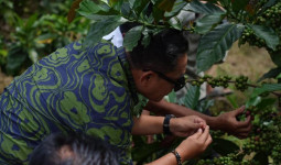 Wakil Gubernur Kaltim Tinjau Rest Area Odah Singgah dan Perkebunan Kopi Luwak di Kukar