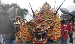 Karnaval Budaya Nusantara 2025 Meriahkan Samarinda, Andi Harun Tekankan Persatuan dan Efek Ekonomi