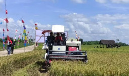 Menakar Kesiapan Kaltim untuk Mendukung Swasembada Pangan Nasional, Mulai dari Lahan dan Kebijakan