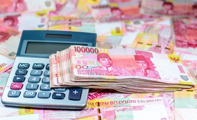 Ekonom Unmul Ingatkan Risiko Jika Dana Pemda Megendap di Bank