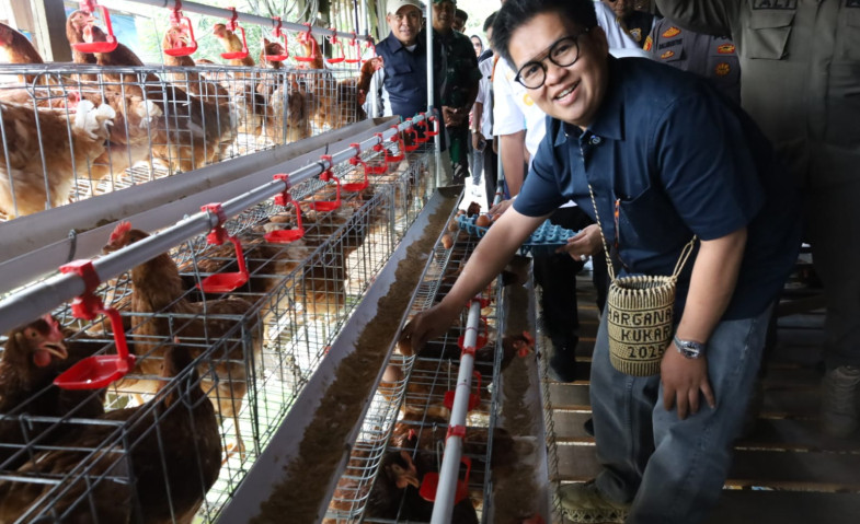Wabup Kukar Rendi Solihin Resmikan Unit Usaha Peternakan Ayam Petelur BUMDes Batuah Prima Mandiri