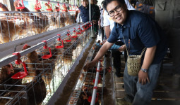 Wabup Kukar Rendi Solihin Resmikan Unit Usaha Peternakan Ayam Petelur BUMDes Batuah Prima Mandiri