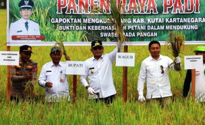 Kukar Tetap Jadi Lumbung Pangan Kaltim, Kontribusi Pertanian Naik di Tengah Fluktuasi Produksi