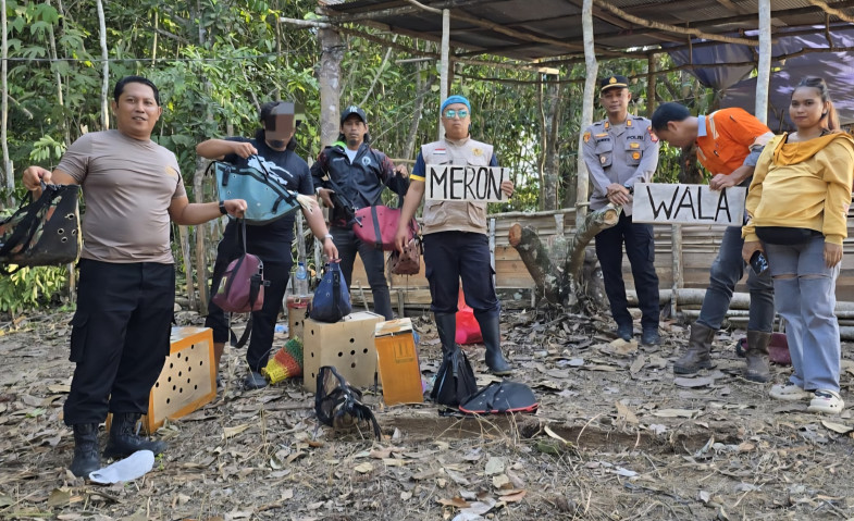 Polsek Loa Janan Bongkar Arena Judi Sabung Ayam di Batuah