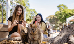 6 Pengalaman Tak Terlupakan saat Liburan Keluarga di Perth