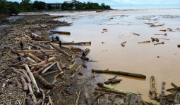 Kayu Gelondongan Banjiri Sumatra, Kapolri Ungkap Temuan Bekas Chainsaw di Lokasi Bencana
