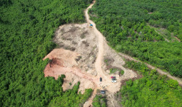 Taman Nasional Kutai Dirusak Tambang Galian C, 8 Alat Berat Diamankan Petugas Gabungan
