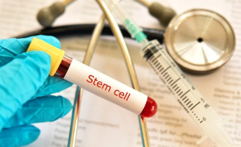 Terapi Stem Cell Dinilai Menjadi Solusi Inovatif bagi Kesehatan Jantung