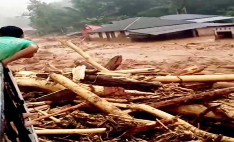 Viral Kayu Gelondongan Saat Banjir Sumatra, Mendagri Tito Singgung Dugaan Illegal Logging