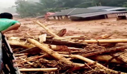 Viral Kayu Gelondongan Saat Banjir Sumatra, Mendagri Tito Singgung Dugaan Illegal Logging