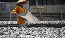 Kalimantan Timur Menuju Penguatan Kualitas dan Nilai Jual Produk Kelautan dan Perikanan