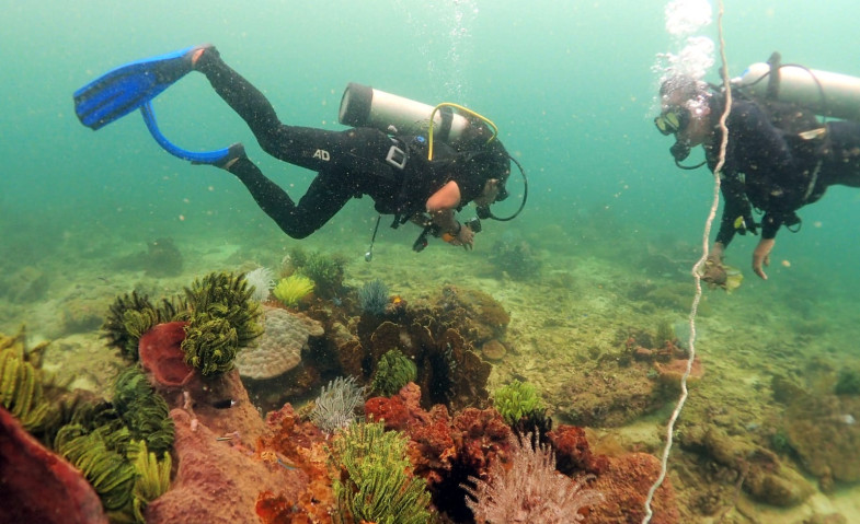 Akademisi Unmul Ungkap Kondisi Terumbu Karang Kaltim, Soroti Kerusakan 200 Meter Persegi di Muara Badak