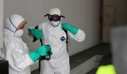 Dinkes Kaltim Perketat Pengawasan Virus Nipah di Bandara dan Pelabuhan