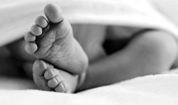 Dinkes Kaltim Telusuri Kematian Anak dalam Perjalanan Rujukan dari Puskesmas Batuah