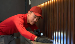 Jasa Anti Rayap Profesional: Solusi Cerdas Lindungi Rumah dari Kerusakan Tak Terlihat