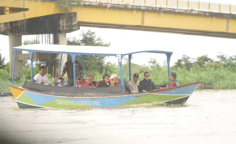 Pemerintah Pusat Intensifkan Penyelamatan Pesut Mahakam, Populasi Tersisa 66 Ekor