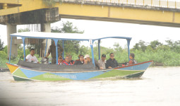 Pemerintah Pusat Intensifkan Penyelamatan Pesut Mahakam, Populasi Tersisa 66 Ekor