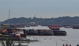 Banyak Jembatan di Kaltim Disenggol Tongkang, Akademisi Singgung soal PAD