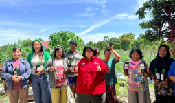 PDI Perjuangan Dorong Gerakan 10 Tanaman Pendamping Beras di PPU, Ananda Moeis Turun Langsung ke Petani
