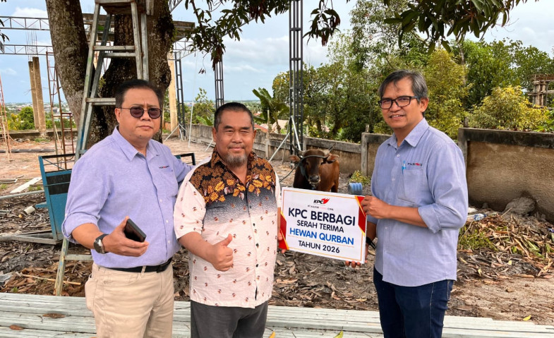 Idul Adha 1447: KPC Bagikan 65 Ekor Sapi Kurban untuk Masyarakat