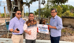 Idul Adha 1447: KPC Bagikan 65 Ekor Sapi Kurban untuk Masyarakat