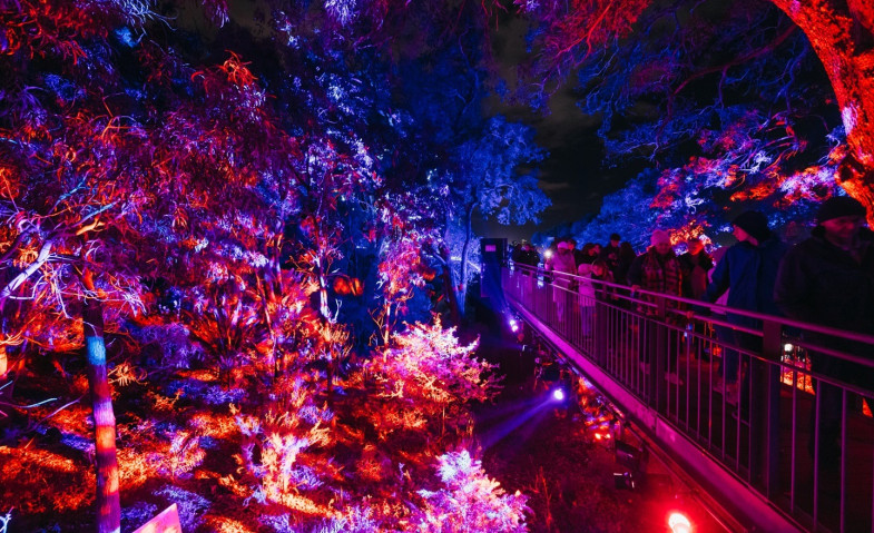 Lightscape Perth 2026 Sulap Kings Park Menjadi Destinasi Musim Dingin Penuh Cahaya dan Keajaiban