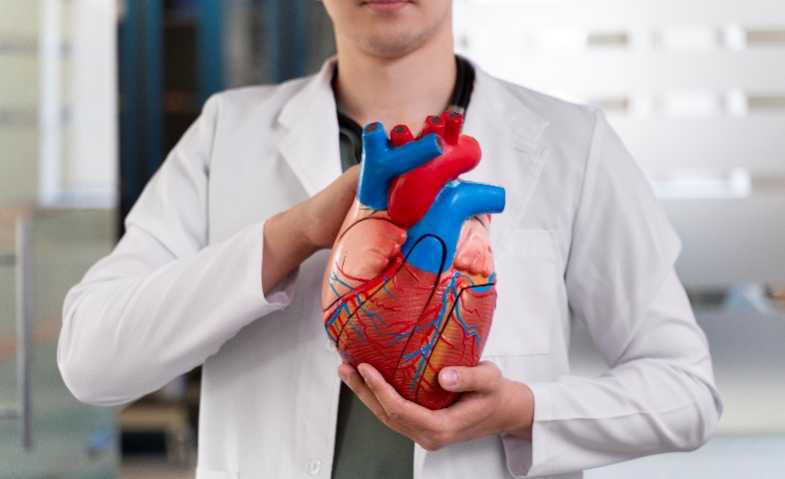 Tidak Selalu Harus Operasi Jantung Terbuka, Kenali TAVI untuk Mengatasi Masalah Katup Aorta