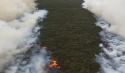 Prabowo Kirim 200 Pompa Air untuk Atasi Karhutla Taman Nasional Tanjung Puting