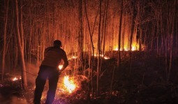 Ribuan Hektar Terbakar, Karhutla di Kaltim Diperparah Kekeringan Ekstrem